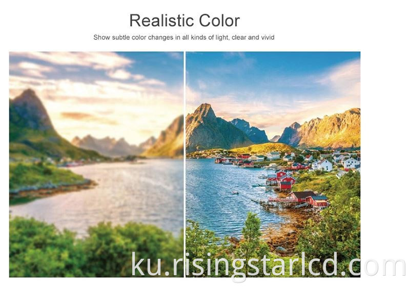 65inch LCD Display